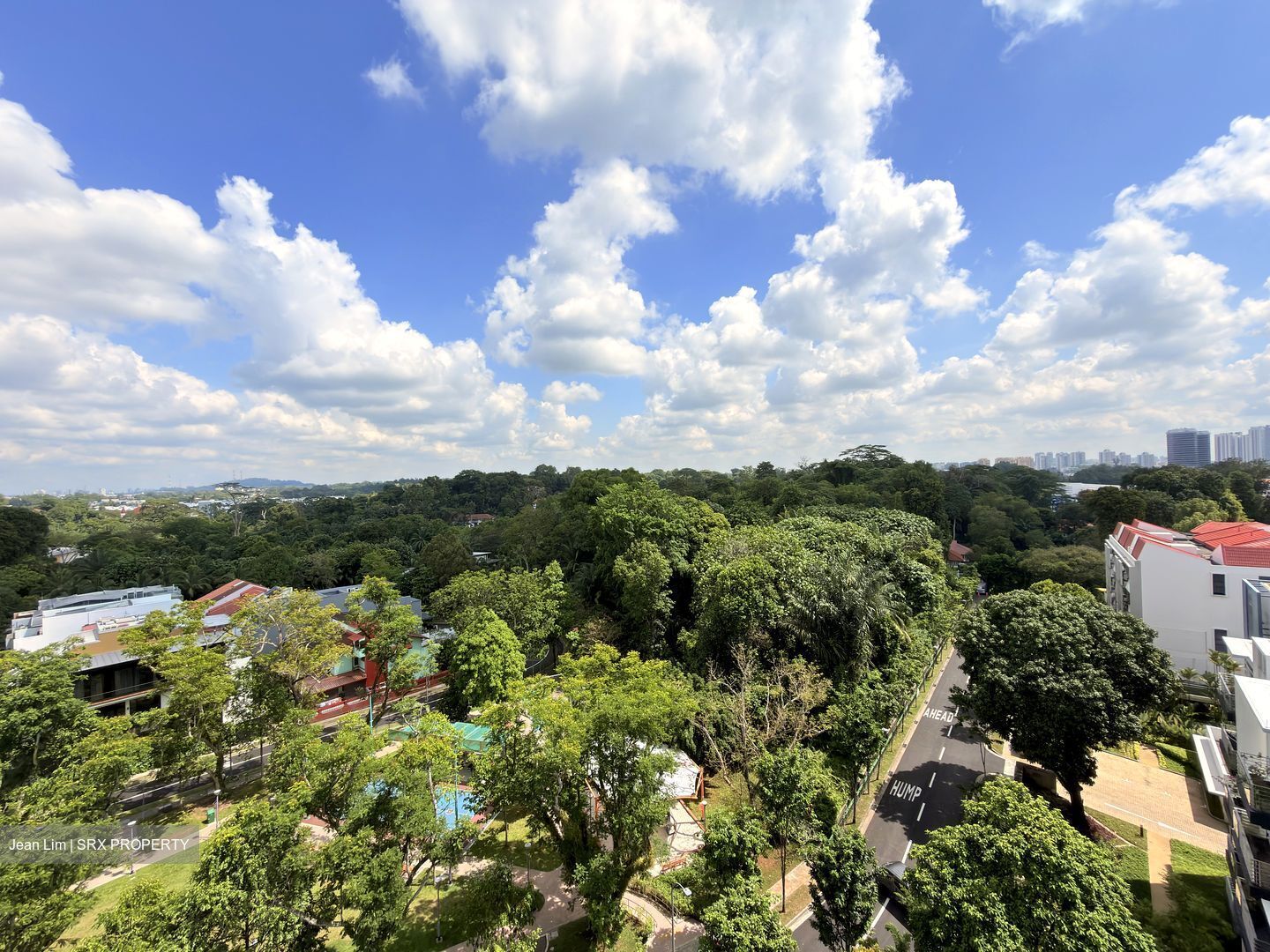Goldhill Towers (D11), Apartment #548119411